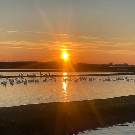 ホテル Salas Stankovic Secanj