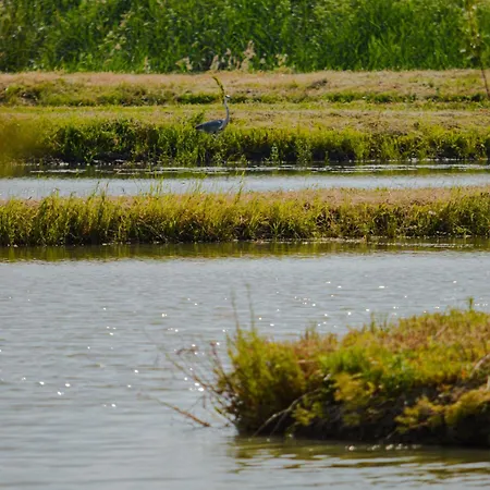 Salas Stankovic ホテル Secanj